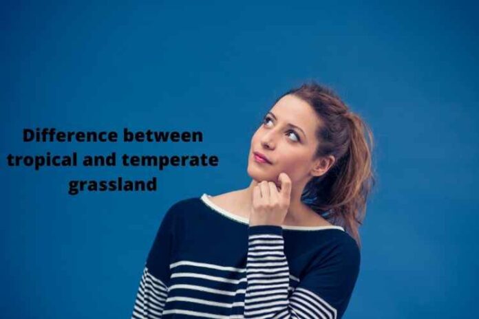 Difference between tropical and temperate grassland