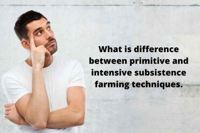 What is difference between primitive and intensive subsistence farming techniques.