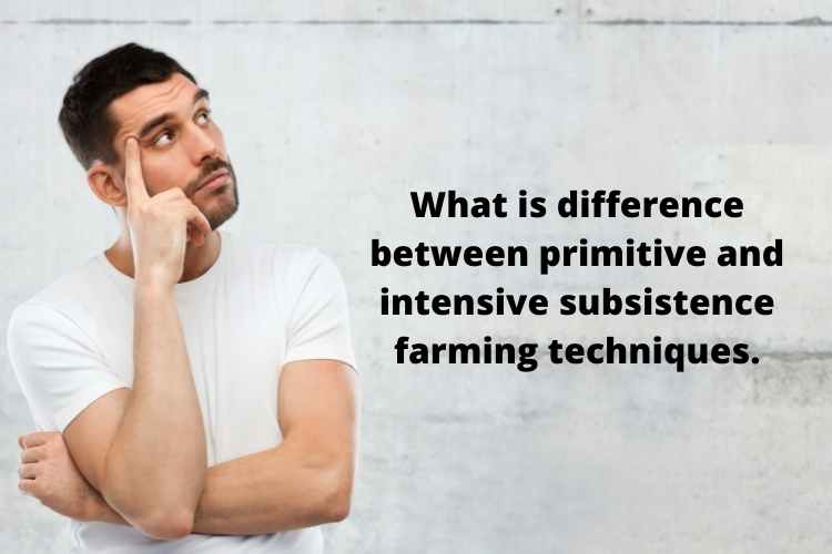 what-is-difference-between-primitive-and-intensive-subsistence-farming