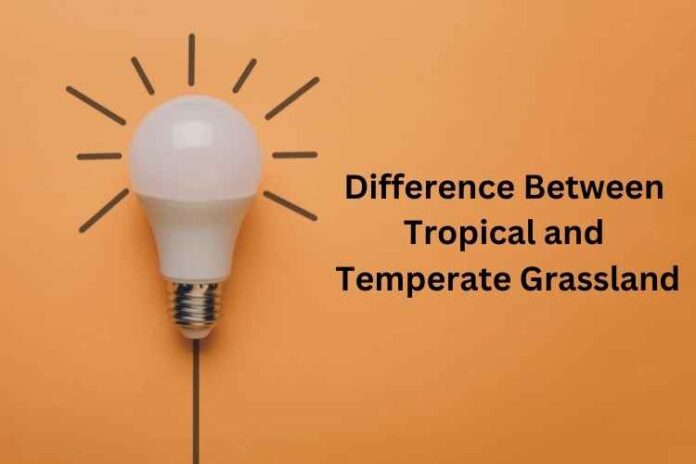 Difference Between Tropical and Temperate Grassland